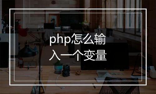 php怎么输入一个变量