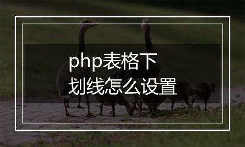 php表格下划线怎么设置
