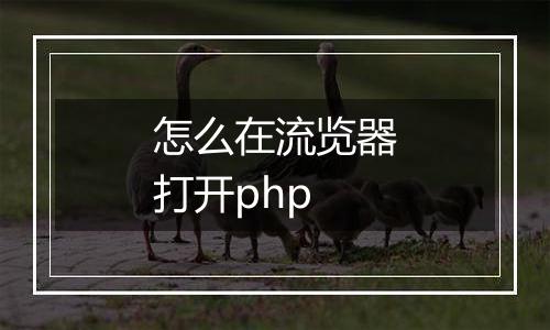 怎么在流览器打开php
