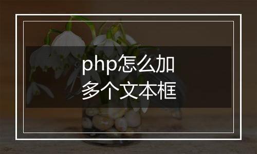 php怎么加多个文本框