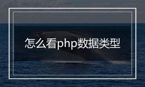 怎么看php数据类型