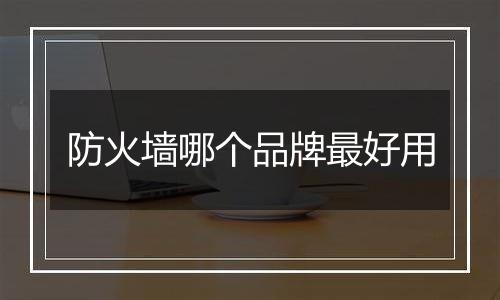 防火墙哪个品牌最好用