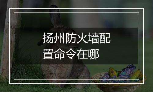 扬州防火墙配置命令在哪