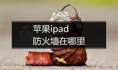 苹果ipad防火墙在哪里