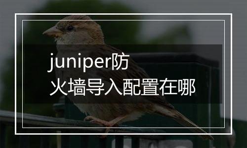 juniper防火墙导入配置在哪