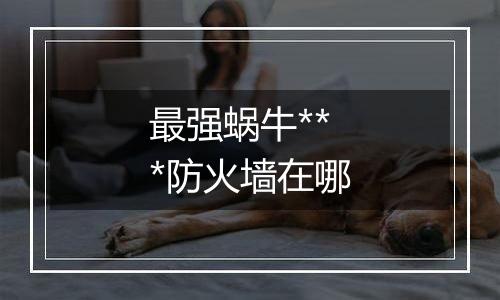 最强蜗牛***防火墙在哪
