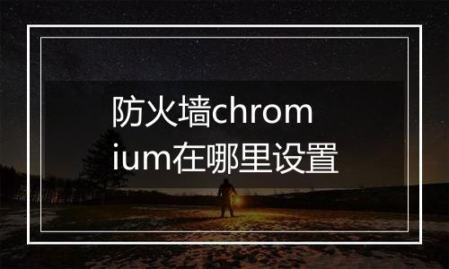 防火墙chromium在哪里设置