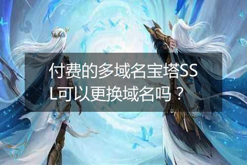 付费的多域名宝塔SSL可以更换域名吗?