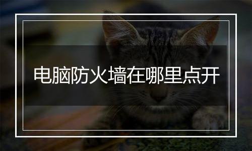 电脑防火墙在哪里点开