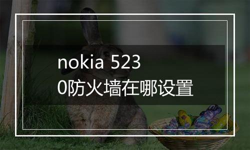 nokia 5230防火墙在哪设置