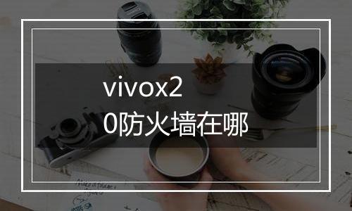 vivox20防火墙在哪