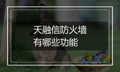 天融信防火墙有哪些功能