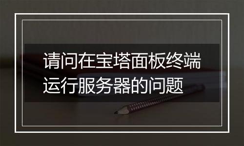 请问在宝塔面板终端运行服务器的问题