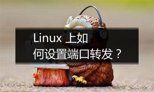 Linux 上如何设置端口转发？