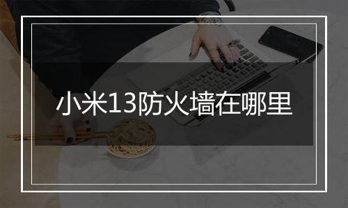 小米13防火墙在哪里