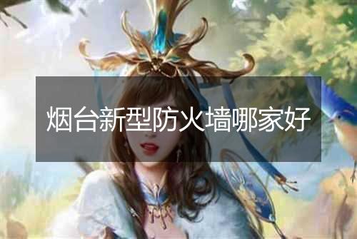 烟台新型防火墙哪家好