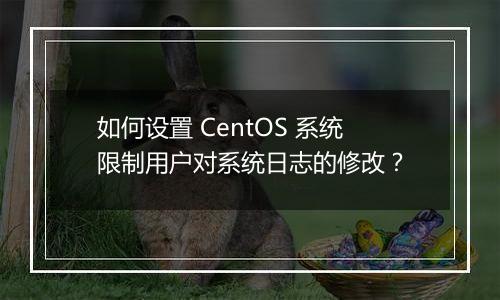 如何设置 CentOS 系统限制用户对系统日志的修改？