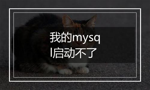 我的mysql启动不了