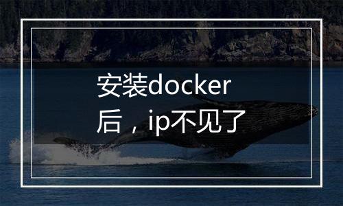 安装docker后，ip不见了