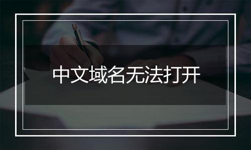 中文域名无法打开