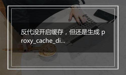 反代没开启缓存,但还是生成 proxy_cache_dir 内文件