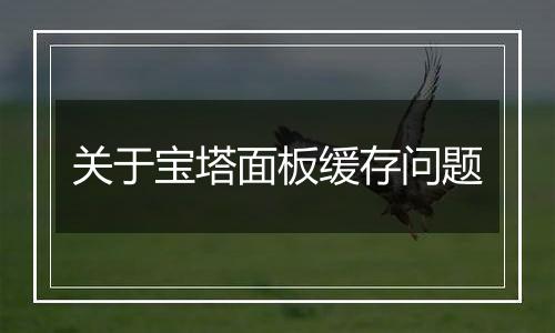 关于宝塔面板缓存问题