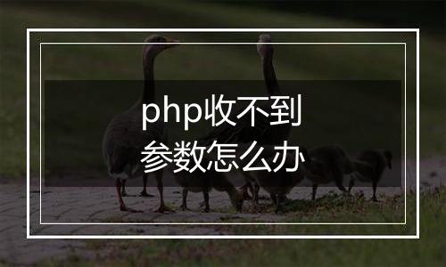 php收不到参数怎么办
