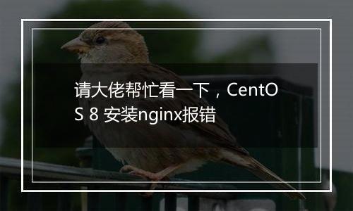 请大佬帮忙看一下,CentOS 8 安装nginx报错