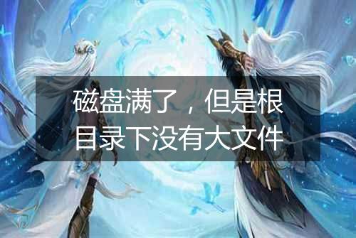 磁盘满了，但是根目录下没有大文件