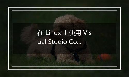 在 Linux 上使用 Visual Studio Code 进行智能家居开发有哪些推荐配置？