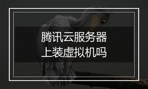 腾讯云服务器上装虚拟机吗