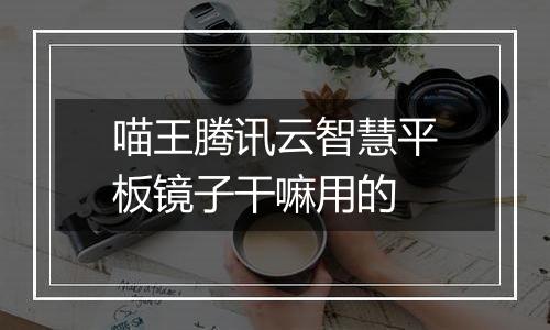 喵王腾讯云智慧平板镜子干嘛用的