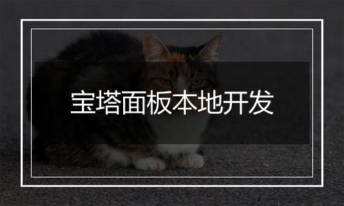 宝塔面板本地开发