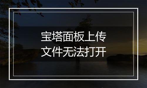 宝塔面板上传文件无法打开
