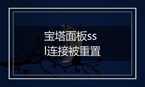 宝塔面板ssl连接被重置