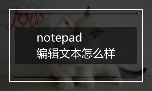 notepad编辑文本怎么样