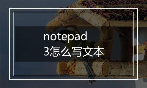 notepad3怎么写文本