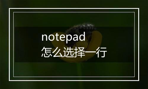notepad怎么选择一行