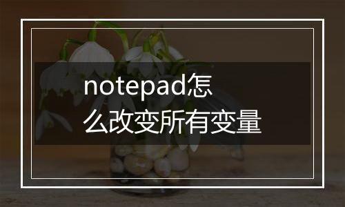 notepad怎么改变所有变量