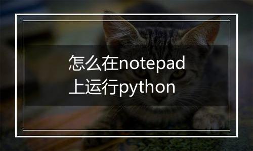 怎么在notepad上运行python