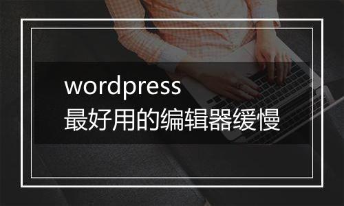 wordpress最好用的编辑器缓慢