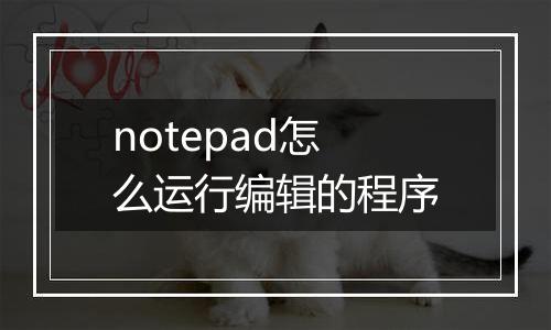 notepad怎么运行编辑的程序