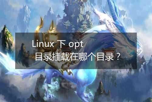 Linux 下 opt 目录挂载在哪个目录？