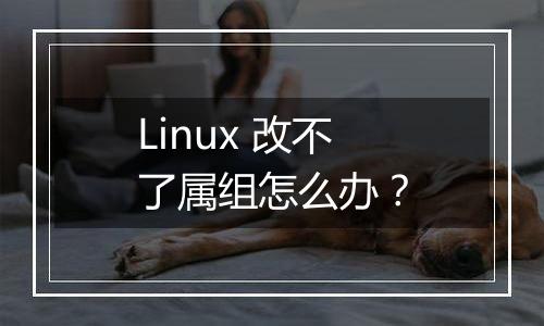 Linux 改不了属组怎么办?