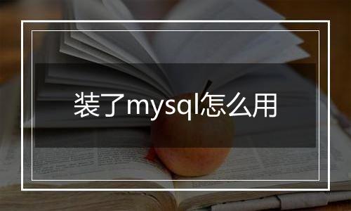 装了mysql怎么用