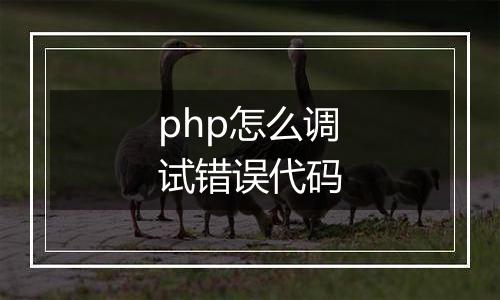 php怎么调试错误代码