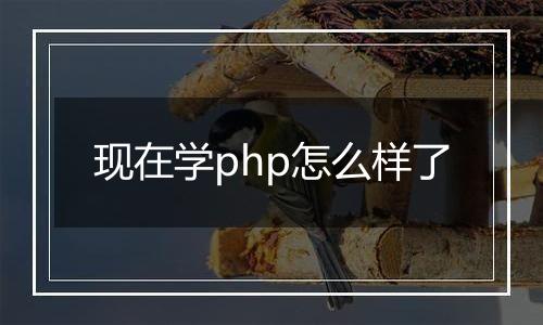 现在学php怎么样了
