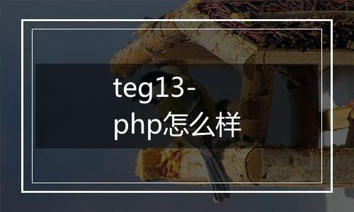 teg13-php怎么样