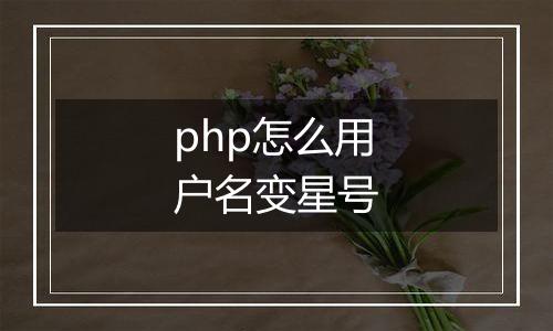 php怎么用户名变星号