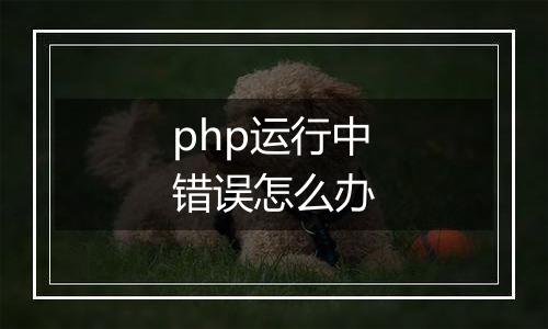 php运行中错误怎么办